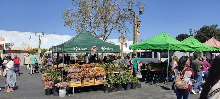 Fallbrook Main Ave Farmers & Artisan Market