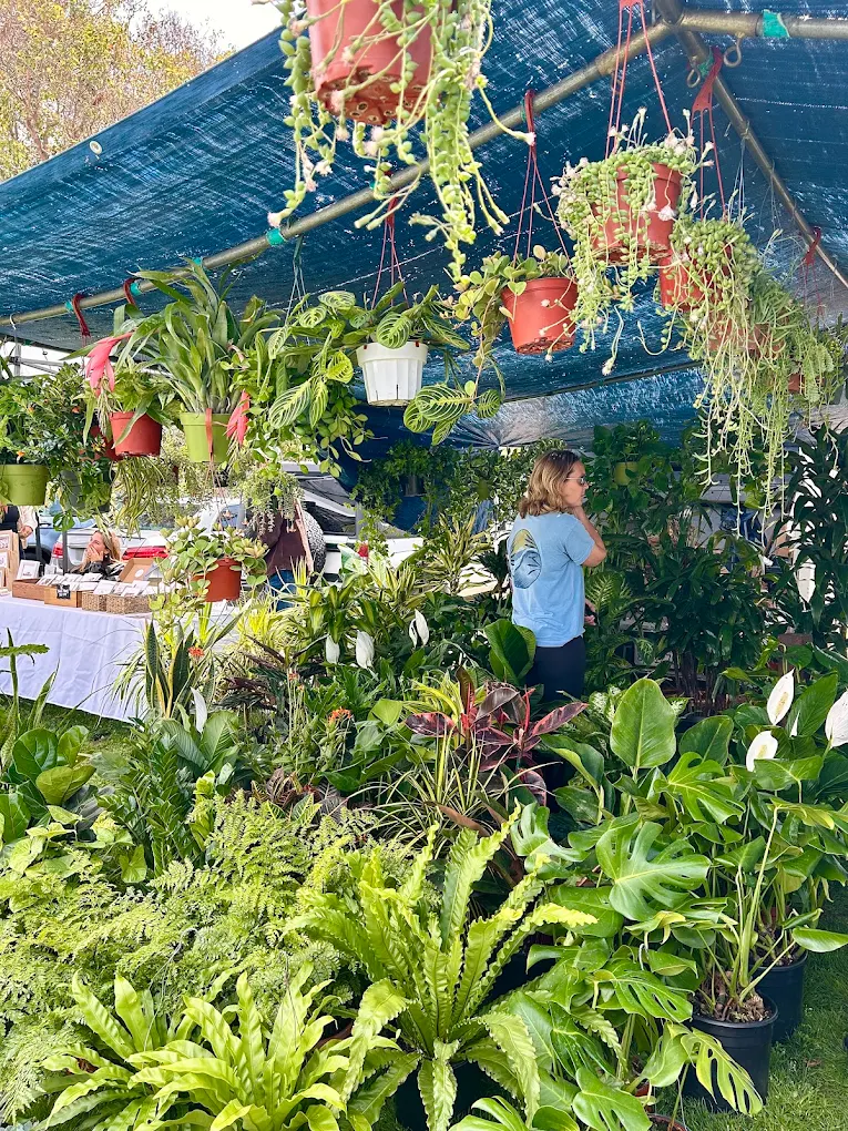 Leucadia Certified Farmers' Market ( Oak Crest Middle School)